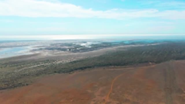 GUERRERO NEGRO BCS MEXICO-2022: Desert and Forested Shoreline From Above