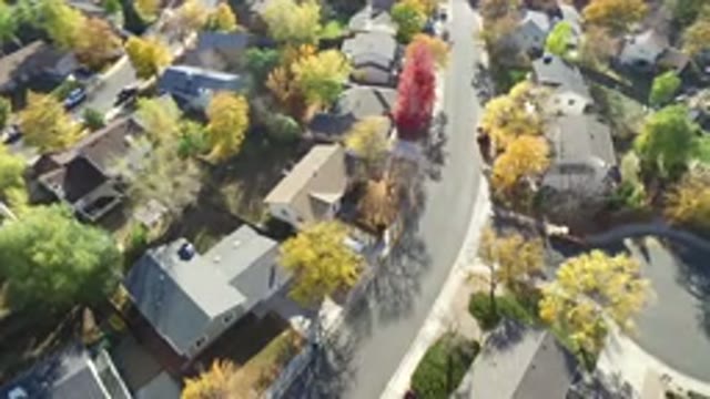 HIDDEN LAKE COLORADO-2016: View Of A Neighborhood With Trees And Road Nearby