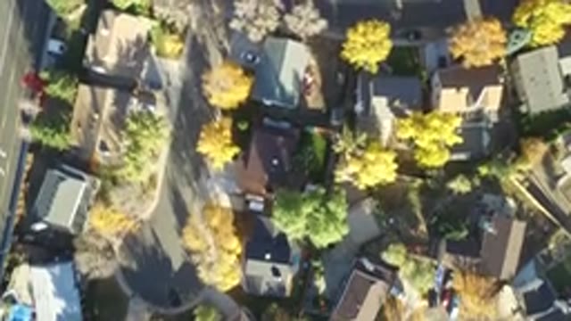 HIDDEN LAKE COLORADO-2016: Up Close View Of A Suburban Area On A Sunny Day