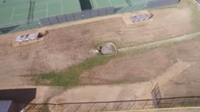 HIDDEN LAKE COLORADO-2016: Aerial Photo Of A Tennis Court With Giant Dirt Patches