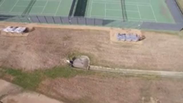 HIDDEN LAKE COLORADO-2016: Aerial View of Green But Empty Tennis Courts