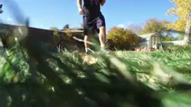 HIDDEN LAKE COLORADO-2016: Man Walking On A Grassy Backyard