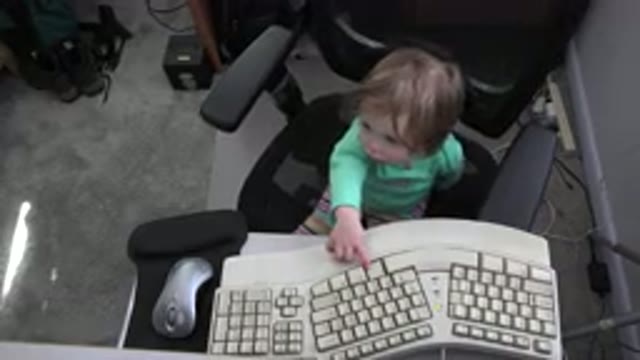 WESTMINSTER COLORADO-2016: Baby in Office Chair Playing With Keyboard Hitting