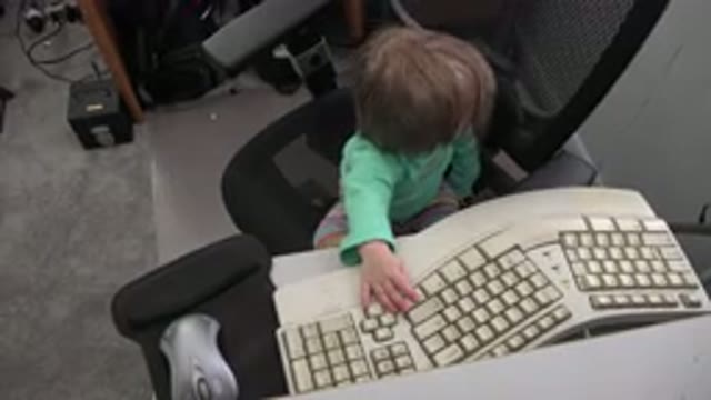 WESTMINSTER COLORADO-2016: A Person Sitting On A Computer Chair And They Are Typing