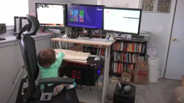 WESTMINSTER COLORADO-2016: Baby Cute Girl Sitting On A Computer Chair