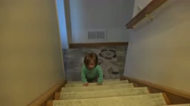 WESTMINSTER COLORADO-2016: A Cute Little Toddler Trying To Climb The Stairs On