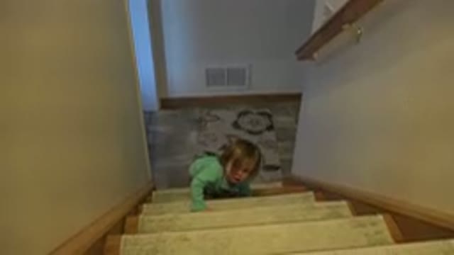 WESTMINSTER COLORADO-2016: Baby Girl in Green Outfit Trying to Climb Ladder