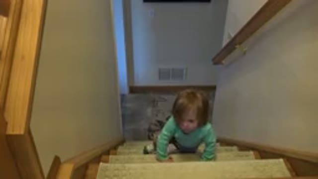 WESTMINSTER COLORADO-2016: Very Cute Baby In Green Clothes Crawling Up The Stairs