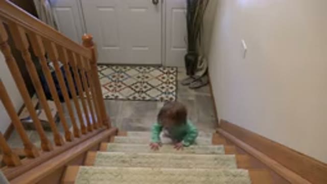 WESTMINSTER COLORADO-2016: A Sweet Child Playing On Their Family's Steps