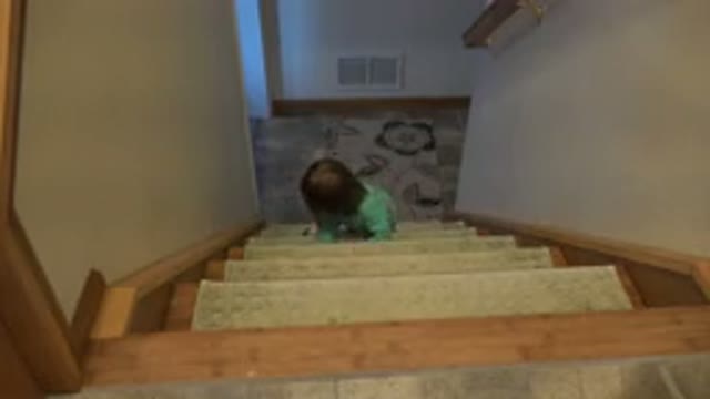 WESTMINSTER COLORADO-2016: Little Girl Going Down The Stairs Alone