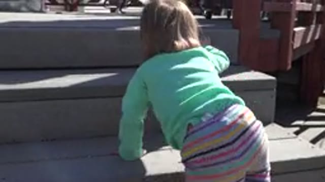 WESTMINSTER COLORADO-2016: A Toddler Climbing Up the Stairs of a House