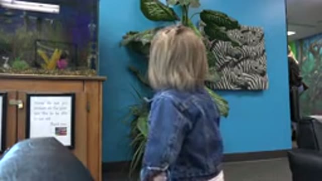 DENVER COLORADO-2016: Little Cute Girl Feels Curious Inside A Dentist Clinic