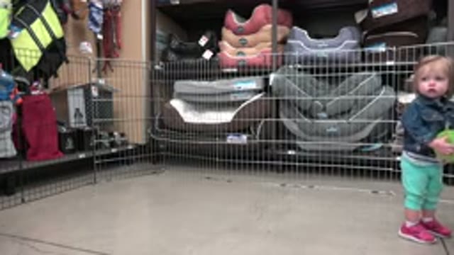 DENVER COLORADO-2016: Alone Baby Playing With A Green Ball Inside A Store