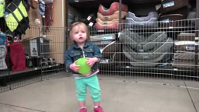 DENVER COLORADO-2016: A Child With A Toy Watching In The Background A Pet
