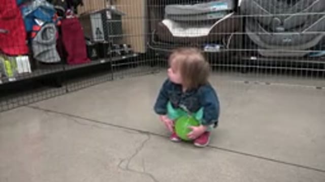 DENVER COLORADO-2016: Toddler Crouching And Holding A Green Bouncy Ball Inside A