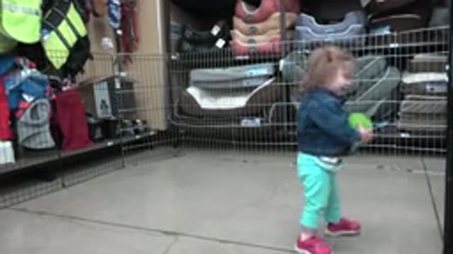 DENVER COLORADO-2016: Toddler Playing with Green Ball in Playroom