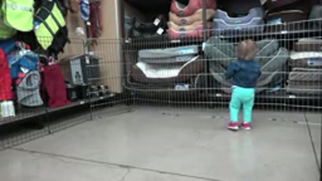 DENVER COLORADO-2016: Toddler In Store Holding A Green Ball Looking At Chairs