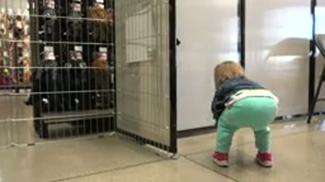 DENVER COLORADO-2016: Blonde Little Baby Gets the Green Ball From the Ground