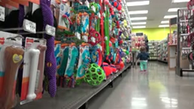 DENVER COLORADO-2016: Cute Child Walking In The Supermarket Near Dog Toys