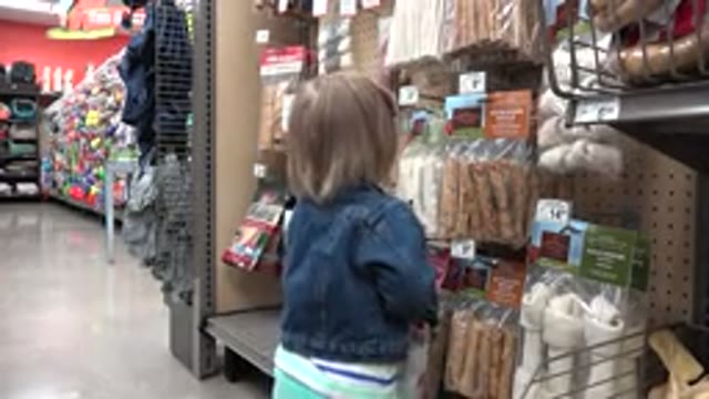 DENVER COLORADO-2016: The Inquisitive Mind of the Child Explores the Store