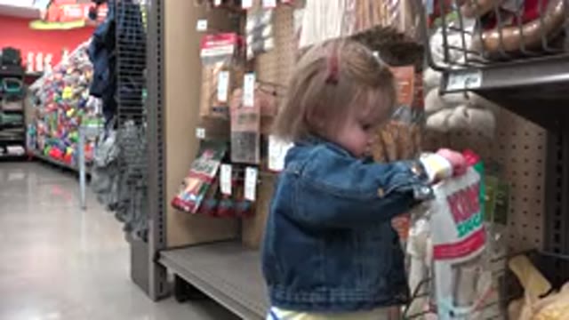 DENVER COLORADO-2016: Child In A Pet Store Looking At Products And Picking Up A