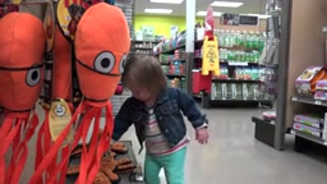 DENVER COLORADO-2016: Little Girl Looking For A New Toy