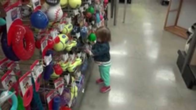 DENVER COLORADO-2016: Young Blonde Child Standing Interacting With Objects On A Shelf