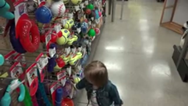 DENVER COLORADO-2016: Child Strolls Into Sporting Goods Store Observes Colorful Toys