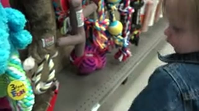 DENVER COLORADO-2016: Toddler Browses Toy Aisle In Pet Store