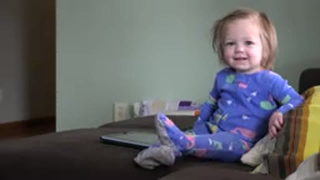 WESTMINSTER COLORADO-2016: Baby Shakes His Feet On The Bed Where There Is A
