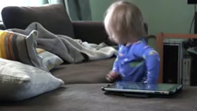 WESTMINSTER COLORADO-2016: Cute Toddler Distracted By TV