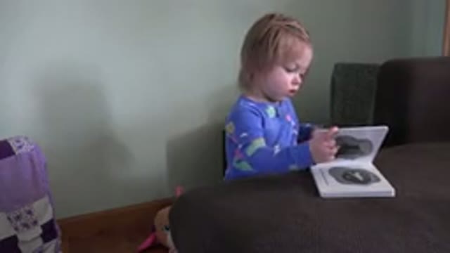 WESTMINSTER COLORADO-2016: Little Girl Sitting At The Living Room Table