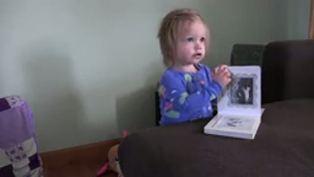 WESTMINSTER COLORADO-2016: Adorable Child Leaning On Brown Sofa Leafing Through Book