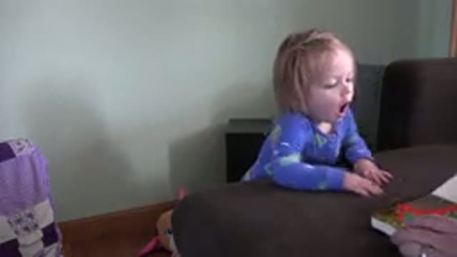 WESTMINSTER COLORADO-2016: Baby Demanding To Look More Closely At The Book I