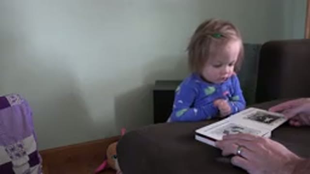 WESTMINSTER COLORADO-2016: A Person Showing A Book To The Attentive Baby