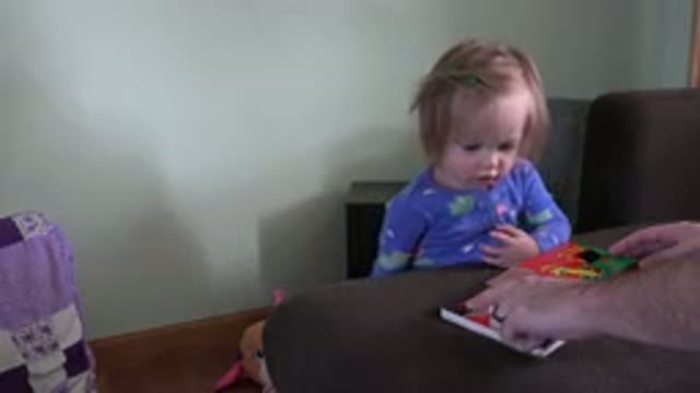 WESTMINSTER COLORADO-2016: Baby Being Introduced To Reconfigured Pictures And