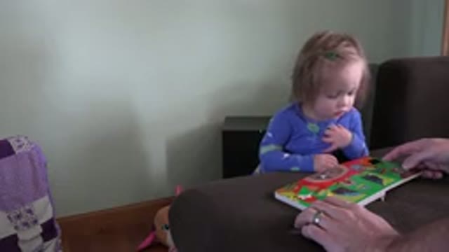 WESTMINSTER COLORADO-2016: Toddler Reading a Book in Dining Room