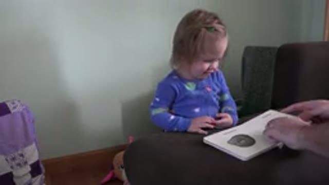 WESTMINSTER COLORADO-2016: Man Showing The Figures Contained In The Book To The Child