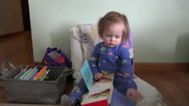 WESTMINSTER COLORADO-2016: Cute Blonde Baby Girl Sitting On Chair Playing With Book