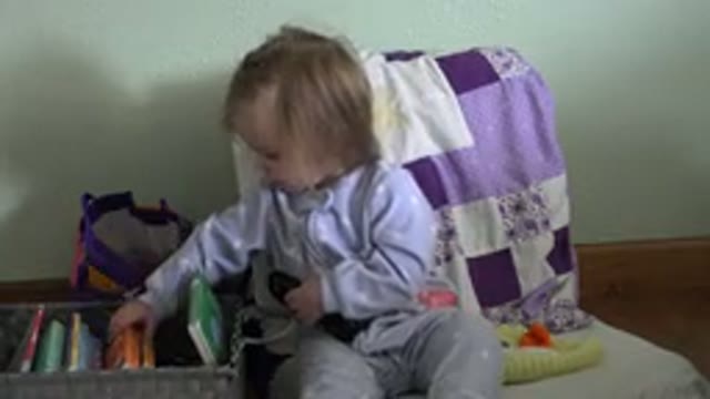 WESTMINSTER COLORADO-2016: Child Playing With Books