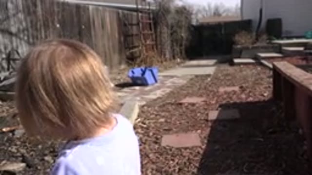 WESTMINSTER COLORADO-2016: Cute Child With Blond Hair Playing In Place