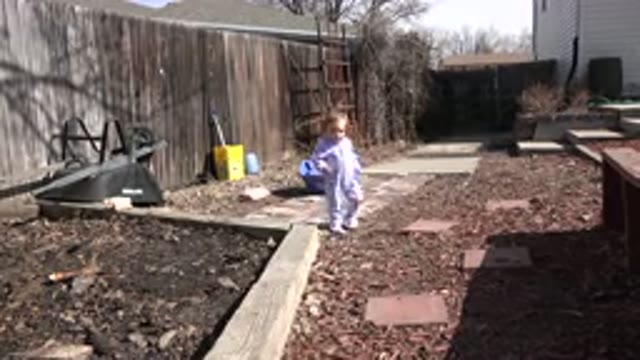 WESTMINSTER COLORADO-2016: Toddler in Purple Walks Ginger Ally Outdoors