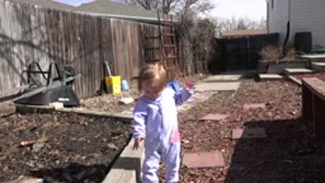WESTMINSTER COLORADO-2016: Little Baby Trying To Walk With Cute Expressions And
