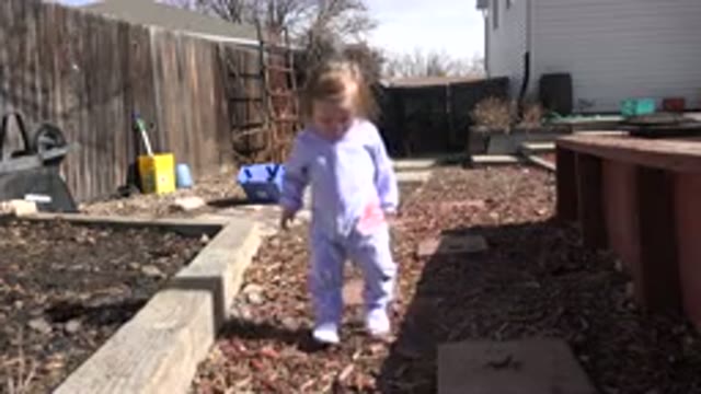 WESTMINSTER COLORADO-2016: Toddler Girl in Purple Taking First Step in Backyard