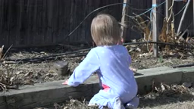 WESTMINSTER COLORADO-2016: Baby Helping In The Garden