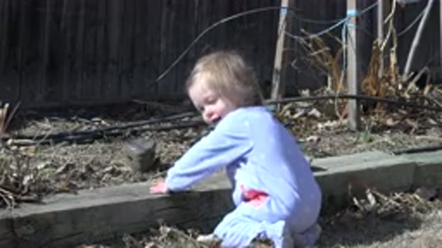 WESTMINSTER COLORADO-2016: Baby Girl Playing With Leaves Along A Curb