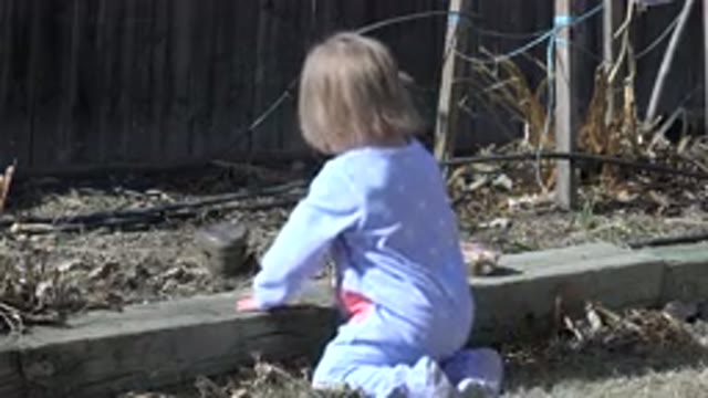 WESTMINSTER COLORADO-2016: Child Enjoys Digging With His Hands In The Garden