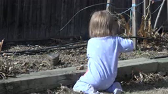 WESTMINSTER COLORADO-2016: Child Playing Outside In The Backyard With Rocks