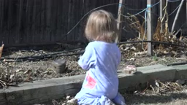 WESTMINSTER COLORADO-2016: A Young Child in a Blue Outfit Playing in the Garden