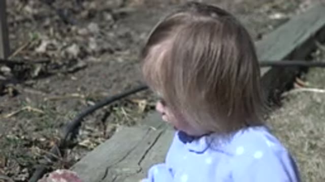 WESTMINSTER COLORADO-2016: Baby Playing And Trying To Explore A Piece Of Wood In